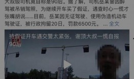 焦家金矿爆料视频播放时间,揭秘矿场神秘时刻